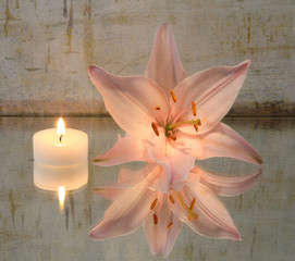 Obraz na płótnie świeca kwiat wellnes zdrowie