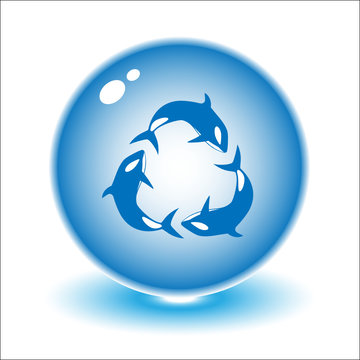 Vector killer whale illustration. Simply change.