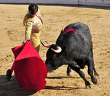 Matador & Bull