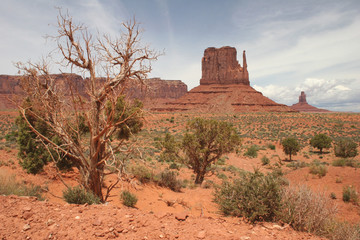 Wall Mural - Monument Valley