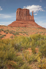 Wall Mural - Monument Valley