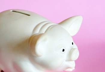  piggy bank