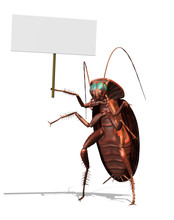 Giant Roach With A Blank Sign