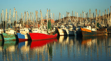 A Fleet Of Docked Shrimp Boats 