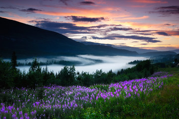 Norway valley