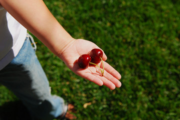 Cherry's in a little boy Hand