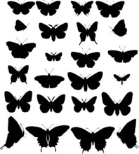 Twenty Four Butterfly Silhouettes