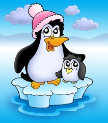 Sticker - two penguins on iceberg