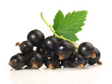 Schwarze Johannisbeeren mit Blatt - Isoliert