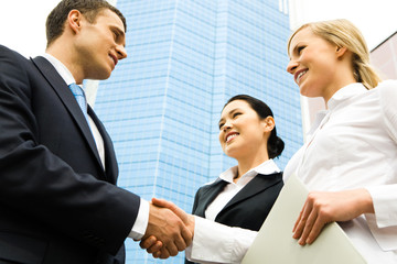 Canvas Print - Business handshake