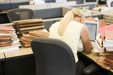 Wall Mural - Businesswoman in cubicle with laptop and stacks of files