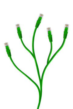 Plant made of computer cable