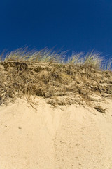 Wall Mural - Grassy sand dunes