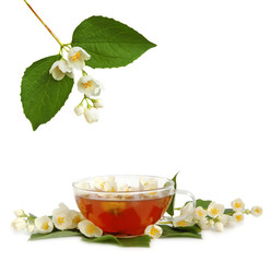 Wall Mural - Jasmine tea