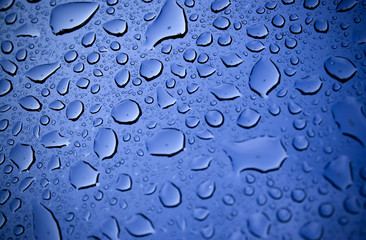 Wall Mural - Water Droplets