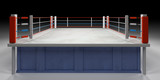 Fototapeta  - Boxing Arena
