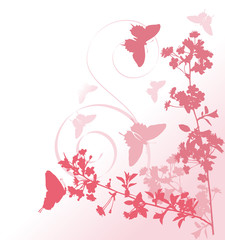 Wall Mural - pink cherry tree flowers and butterflies