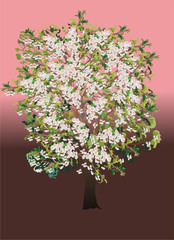 Poster - tree with flowers illustration