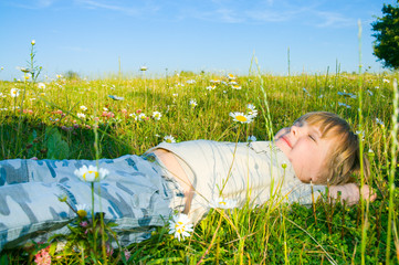 child in the meadow