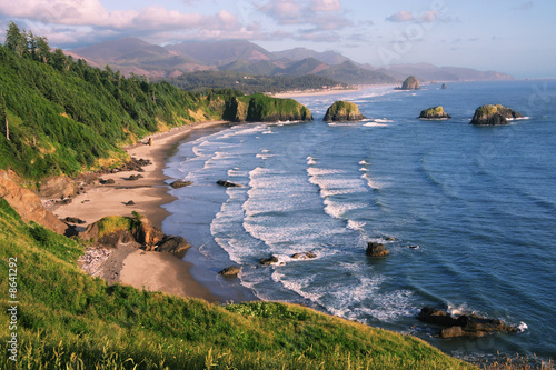 Fotografie, Obraz Crescent Beach at Ecola State Park, Oregon