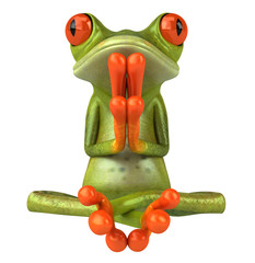 Grenouille zen