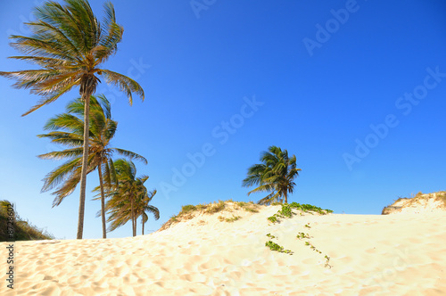 Tapeta ścienna Tropikalna plaża