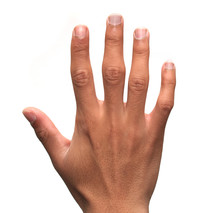 Fingers: Five