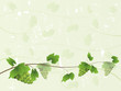 Grape background with vines