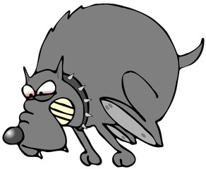 aggressive dog