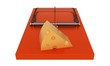 Orange mousetrap with cheese. On a white background.