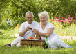 Mature couple picnicked on the grass