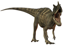 Ceratosaurus Nasicornis-3D Dinosaurier