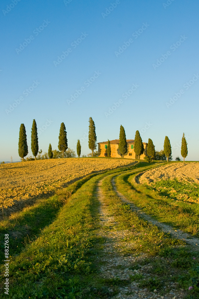 Plissee mit Motiv - image of typical tuscan landscape