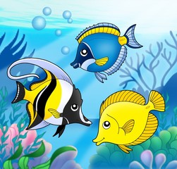 Sticker - Coral fish collection in sea - color illustration.