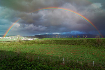  Amazing rainbow