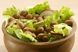 fresh green salad with brown beans and radish