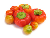 Fototapeta Na ścianę - Tomatoes