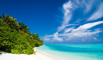 Poster - menschenleerer tropischer Strand