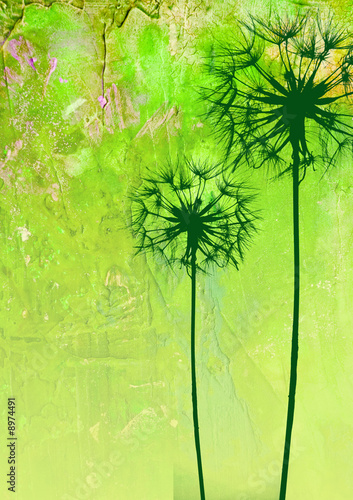 Obraz w ramie digitale illustration Pusteblume