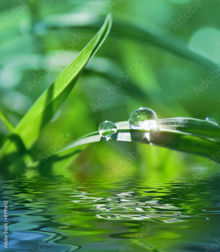 Naklejka - mata magnetyczna na lodówkę green background with grass