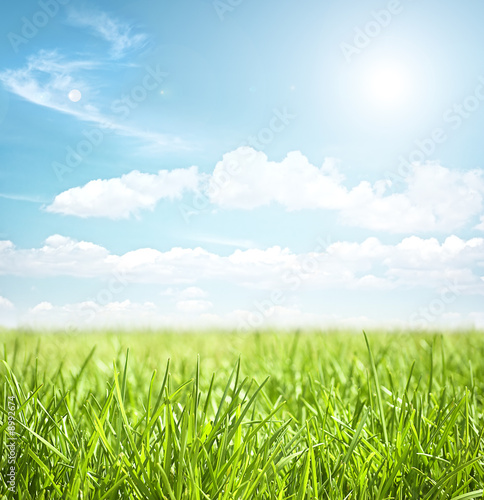 Foto-Lamellenvorhang - sky and grass (von alphaspirit)