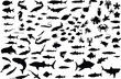A hundred silhouettes of fish and sea animals