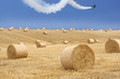 © Aamon - Kunstflug am Kornfeld