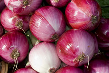 Group Of Red Onions. Horizontal