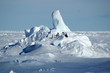 Penguin group in Antarctic pack ice scenery