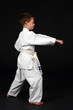 © sparkmom - young boy demonstrating traditional karate right stance