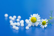 Chamomile flower and homeopathic medication on blue surface