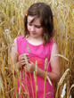 © paprika - girl on a field of wheat.