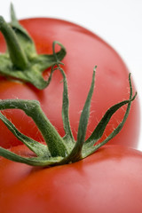 Macro of two ripe tomatoes. Studio shot.