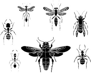 Sticker - ants and wasps silhouettes